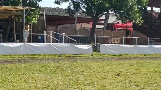 Philippolis Show 2025 Amateur Parkhorse | Ian Barrie