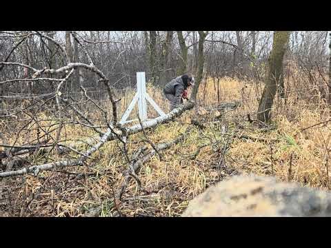 Timeless Fence down!