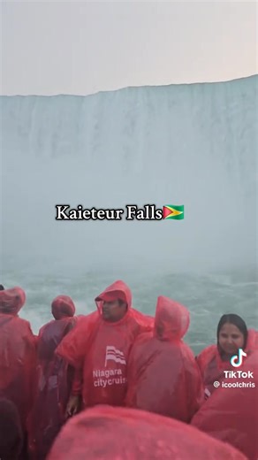 🇬🇾with♥️Guyana Feather’s Friends,, Worldwide,,, Guyana Adventure , South America & North of-the Amazon Basin. & Guyana Feather’s Friends, Worldwide,-GFF is, Real Birds, Real People, Real Culture, & Guyana Feather’s Friends, Worldwide,-Birdwatching Tourism Operator & Birdwatching Tour Guide,🦅🦆🦜🦩🐦🦉🕊🐦‍⬛🪿🪽♥️💜🟣🟪 🇬🇾With♥️Guyana’s Adventure💜🟣🟪 🇬🇾Guyana, South America & North of-the Amazon Basin💜🟣🟪 🇬🇾💜Guyana Feather’s Friends Worldwide, GFF do invite you to experience & explo