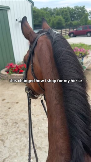 TackTack on Instagram: "If it’s well-made, properly cared for, and half the price… why wouldn’t you? Download the tacktack app today and start saving on everything you need for your horse🫶🏼 equestrian marketplace | consignment tack | tack for less"