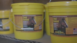 Total Control® is a tasty, five-in-one supplement that saves horse owners time, money, and space. A complete, multi-purpose daily supplement that targets 6 different systems in the horse, two scoops a day is all it takes. Total Control® promotes six equine systems, including healthy hydration, joints, blood counts, digestive system, hooves, and coats. Total Control® combines a full dose of the active ingredients from Finish Line’s 5 best products: Apple-A-Day™, Iron Power®, Fluid Action® HA, U-7