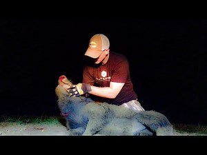 Maker .223 REX 62 Grain | Full Review