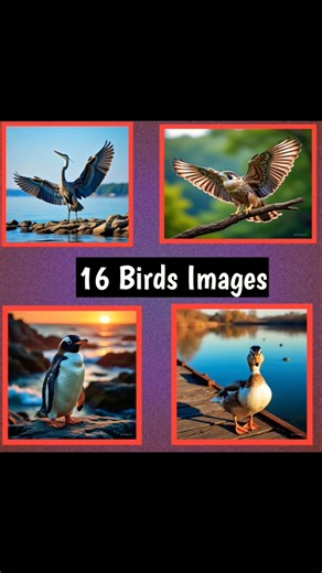 16 Birds Images || Beautiful birds #trending #birds #trendingshorts #viral