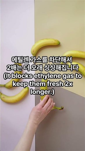 3주 지나도 싱싱한 바나나? 이렇게만 하세요!
