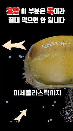홍합, 이 부분은 독이라 절대 먹으면 안 됩니다 ㄷㄷ