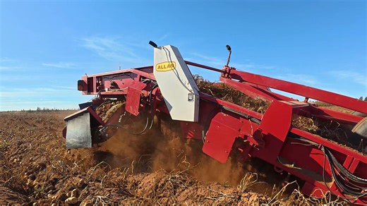 Here is the longer version of the digging potatoes video I created. I learned a lot as I rode in the tractor, and on top of the harvester. You'll see some unique angles with this video. | Osprey Cove Productions