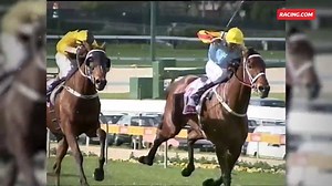 3.7K views · 70 reactions | One of the great racing rivalries... Northerly and Sunline. It was Northerly who was victorious this day in the 2001 Feehan Stakes. | Racing.com | Facebook