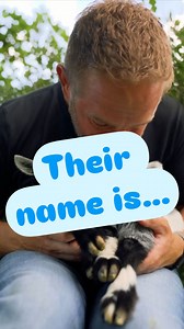 5.7K views · 8.9K reactions | ✨ We’re officially naming Lisa’s kid!!...