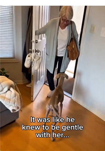 Nana's Sweet Dog Adventures ❤️