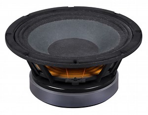 [Hot Item] 8′ ′ Inch Low Frequency Ferrite Woofer