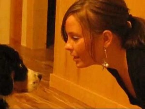 KISSING Bernese Mountain Dog Puppy!