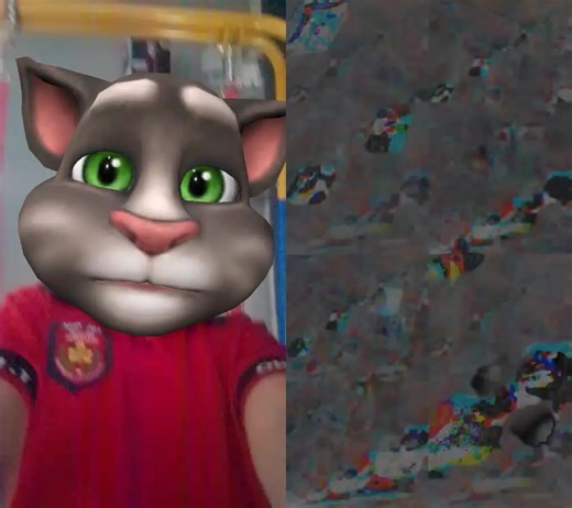 #dúo con @Tommybusfree