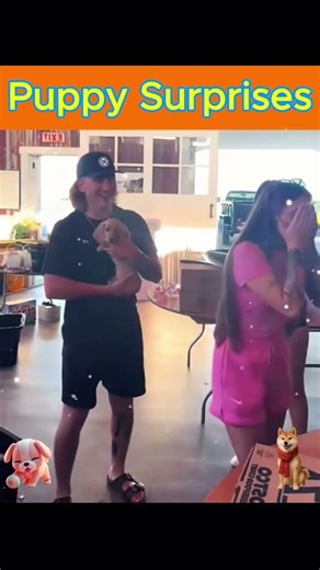 Cute Puppy Surprises 🐶👩‍❤️‍👨 #couples #moments #love #viral #shorts #petvideos #pets