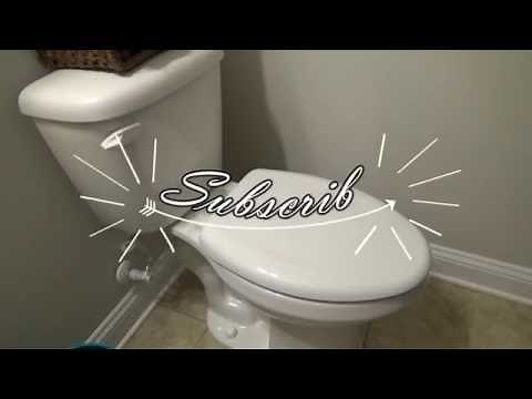 Replacing a toilet seat with Bemis Whisper Close Toilet Seat