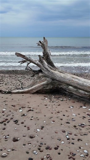 Road Trip Through Latvia — Castles, Coast, Ventspils