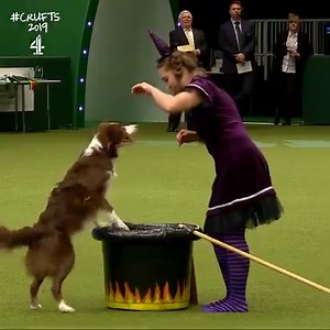 Nicci and Elsa put a spell over the Crufts audience with this magical performance 🧙‍♀🐕 | Crufts
