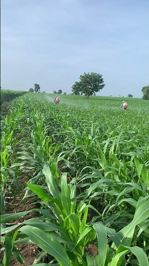Agriculture in Cambodia