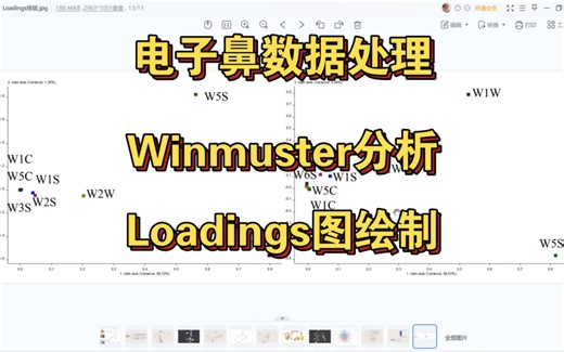 电子鼻｜Loadings分析｜Winmuster｜数据分析