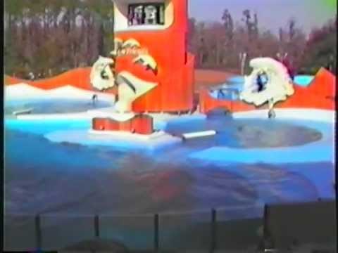 Seaworld 1985