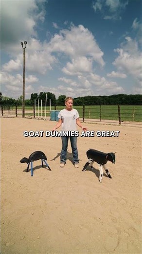 Should I Buy a Goat Tying Dummy?