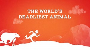 224K views · 2.1K reactions | Mosquitoes are funsuckers, and everybody knows it. But they can also be pretty fearsome. See for yourself in the first installment of our new Funsucker Facts animated series. | Cutter Insect Repellent | Facebook