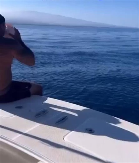 chilvrs on Instagram: "A man who blows into a conch shell in Hawaii gets a response he’ll never forget…"