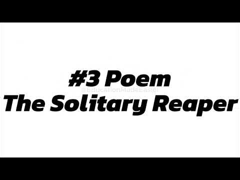 Theme of Poems | Class 9 | Communicative English | CBSE | Quick Revision