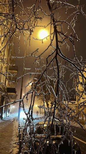 Крихка краса в холодному полоні . Так гарно і так боляче 😣 #київ #україна #зима #природа #гарнотак #рекомендації