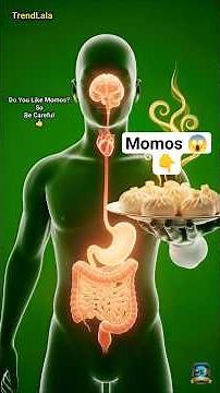 Momos🥟😱 : How It Affects Your Body in 3D | Health Benefits & Side Effects #shorts #nutrition