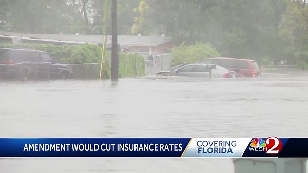 Amendment proposed to cut Florida insurance rates