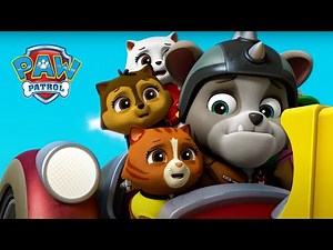 The Skye is the limit! - PAW Patrol Episode - Cartoons for Kids
