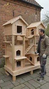 We Built a Dream Home for Two Stray Cats ❤️ Amazing Rescue Transformation #usa #cat #animals