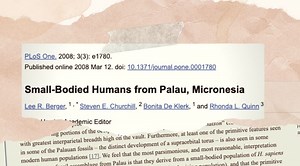 No pygmy people in Palau | Part 1