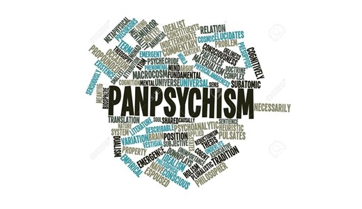 Panpsychism and Explaining Consciousness — TED Talk — David Chalmers – Lifeboat News: The Blog