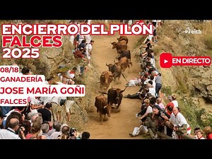 18/08/2025 🔴 DIRECTO 🔴 ENCIERRO DEL PILÓN 🔴 FALCES