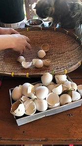 3.9K views · 194 reactions | Egg Shell /Fertilizer | JAY FORD VLOG | Facebook