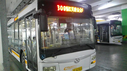 【309用皮座？温江客流大线】2025.1.2早上309路W3439车内运转光华大道一段东→金沙公交站