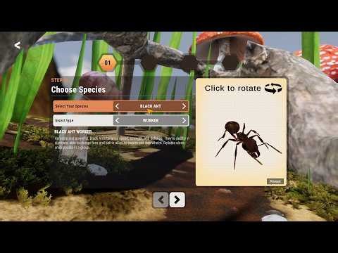 For the Hive Demo is here! First Look - Lets Go!