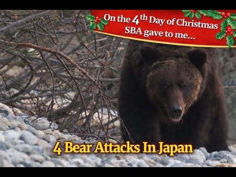 Scary Bear Attacks: Historic and Modern Bear Attacks in Japan