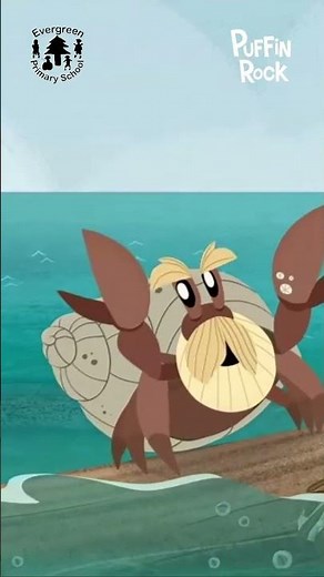 Puffin Rock Season 3 Official Trailer from Puffin Rock on Evergreen Primary School