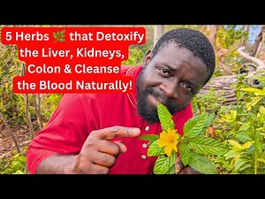 5 Powerful Herbs to Detox Your Liver, Kidneys & Colon Naturally | Cleanse Your Blood Fast