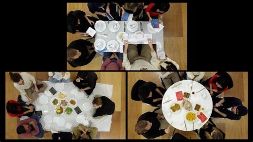 Manners, Common Sense? - Participatory Performance Documentation