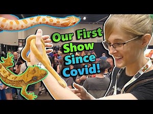Attending a HUGE Reptile Expo in Schaumburg, IL!