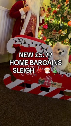 45K views · 294 reactions |  The £5.99 Christmas Sleigh from Home Bargains… Follow UK Newest Foods for more! @homebargains #christmas #christmasfoods #christmasfood #xmas #xmasfood #christmasiscoming #christmas2025 #christmasiscoming #homebargains #homebargainshaul #homebargainsfinds | UK Newest Foods | Facebook