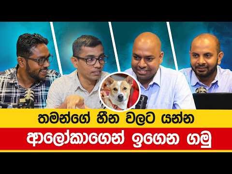 තමන්ගේ හීන වලට යන්න ආලෝකාගෙන් ඉගෙන ගමු | Aloka the Peace Dog