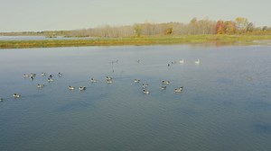 3.2K views · 90 reactions | Immerse yourself in a breathtaking...