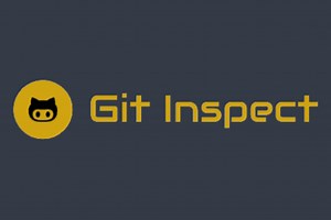 Git Inspect