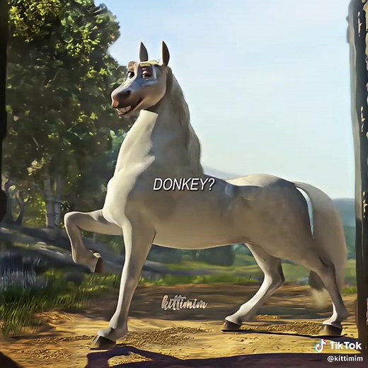 who are u calling donkey? #donkey #donkeyedit #shrekdonkey #dreamworks #fyp #shrek