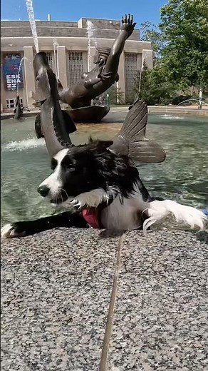 IU Campus fountain.