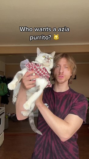 Azia Cat Gets Stuck | Funny Cat Video